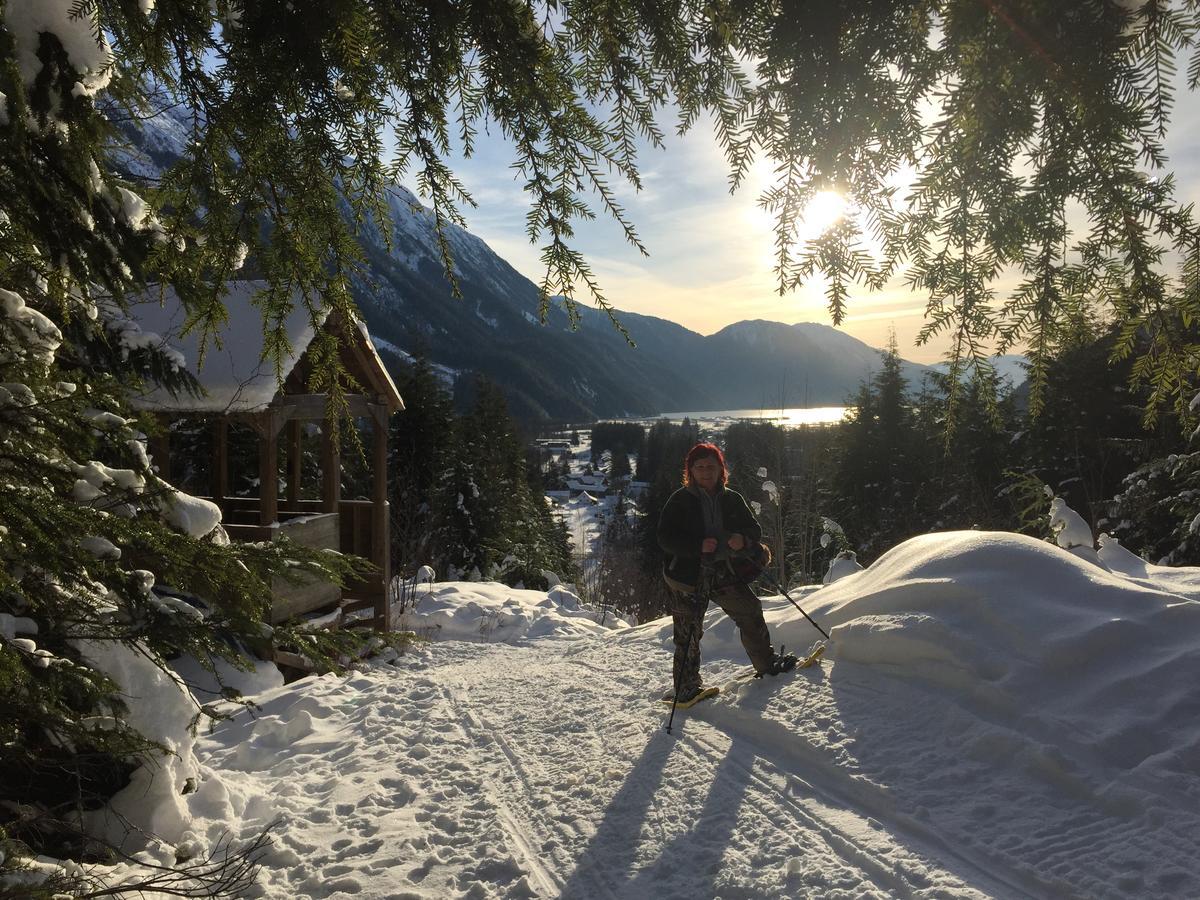 Guesthouse Austria Stewart エクステリア 写真